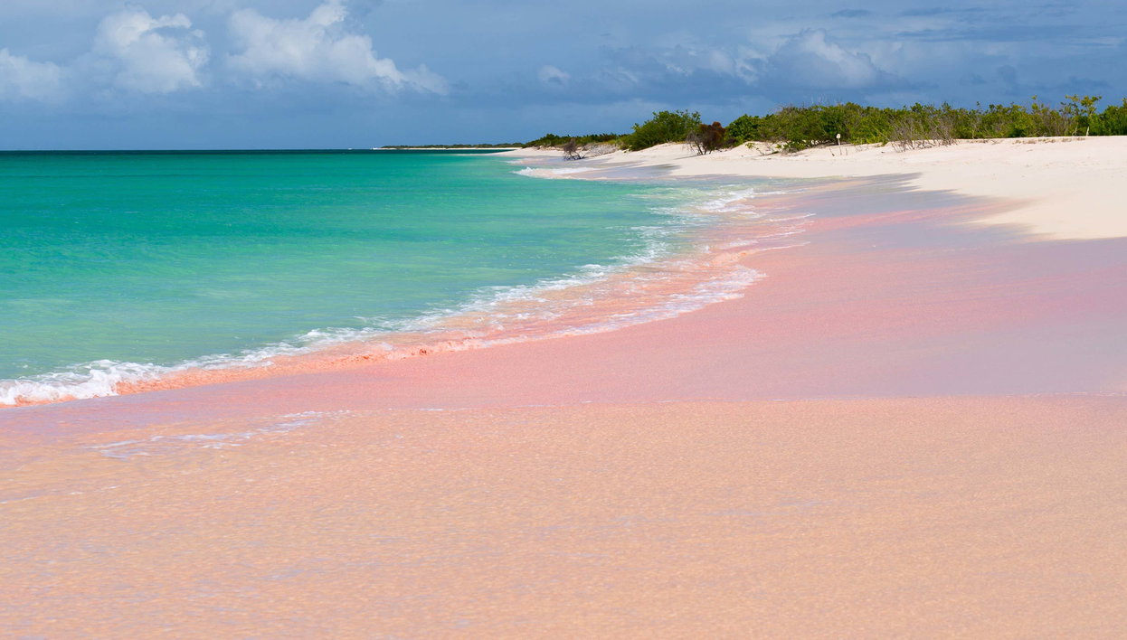 Excursão à ilha de Barbuda - Foto 1, Excursão à ilha de Barbuda