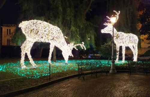 La Maison du Paradis B&B - Photo 41