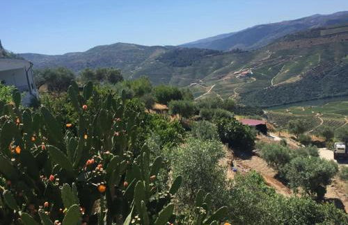 Casa do Vale - DOURO - Foto 50