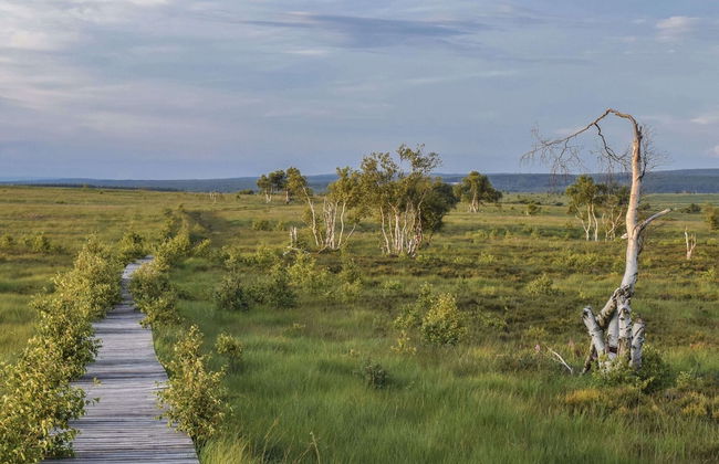 Spacious Stay With Terrace - Photo 35