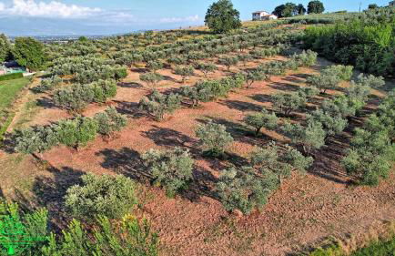 Agriturismo Incanto della Natura - Photo 48