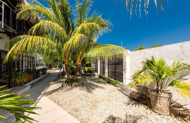 Casa Dharma Refugio de serenidad - Foto 4