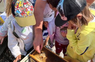 Agriturismo da Natalino - Foto 9