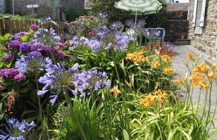 Côte de granit rose - Foto 11