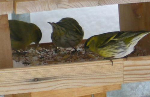 Haus Bergkristall - Foto 20