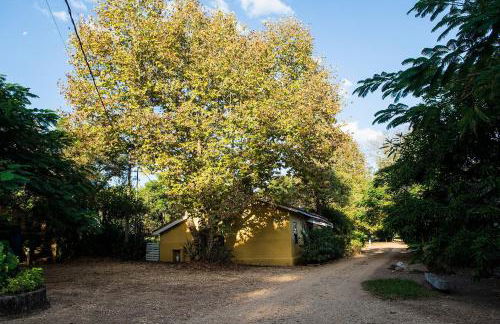 Fazenda Santa Thereza - Itapira - Foto 7