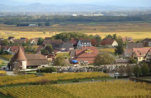 Gites Les Cépages - Foto 14