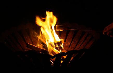 Little Acorn - Luxury shepherd's hut / lodge with private hot tub and garden - Foto 18