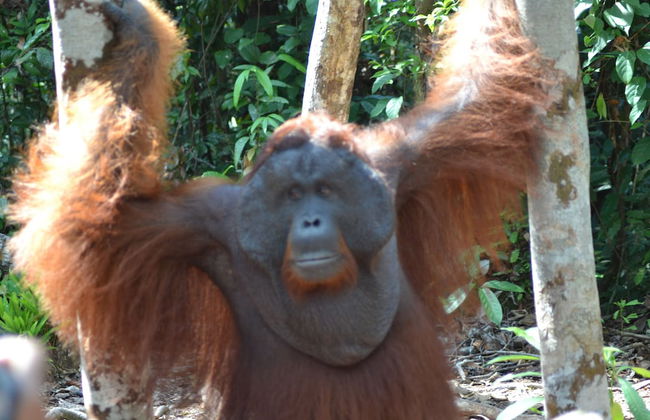 Houseboat Bee Kelotok - Foto 55