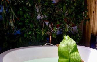 Casa Preguiça Corumbau - Photo 17