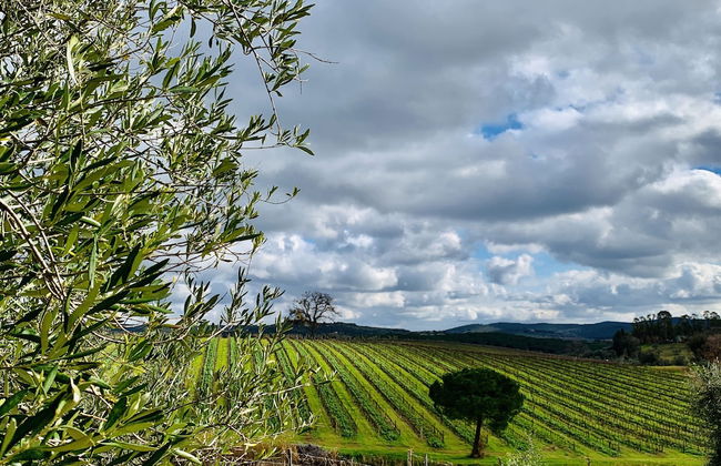 Tenuta Agricola Fraschiera - Foto 72