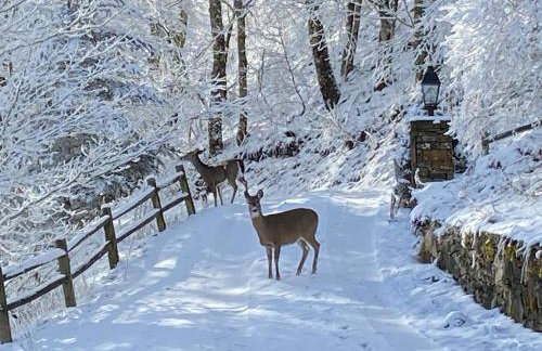 Rocky Top Mountain Getaway - Foto 39