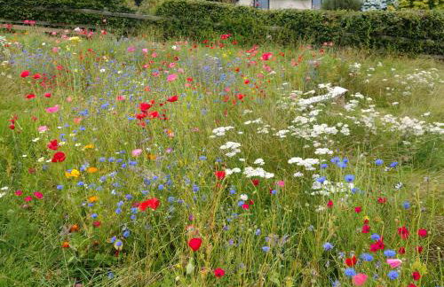 Shepherd's Watch Cottage - 5* Cyfie Farm with private hot tub - Foto 14