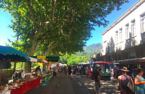 Mas Mialou - Foto 31