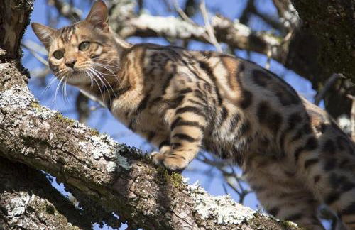 Evadez-vous à la ferme ! - Foto 41