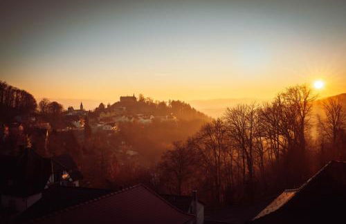 Private Spa Lodge Odenwald - Photo 23