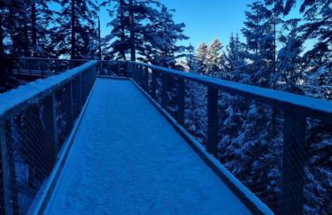 Appartement Herrlich - Foto 53