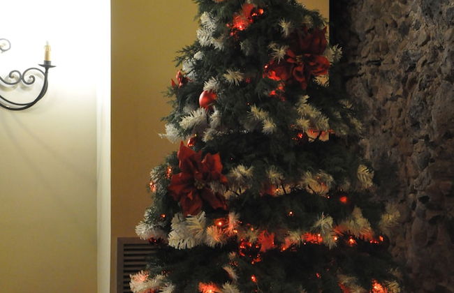 Antico Borgo Etneo Country Hotel - Photo 59