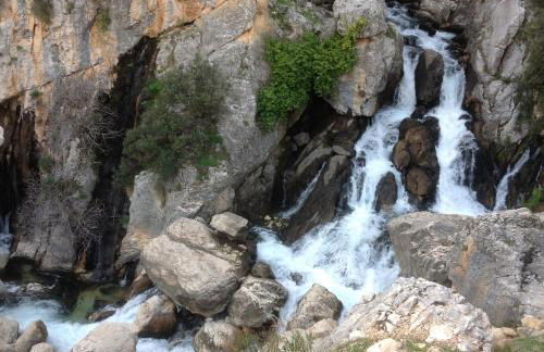 Saluda Alta - Foto 57