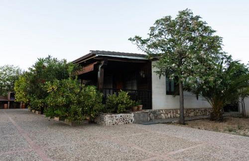 Casa Rural Entreolivos - Foto 28