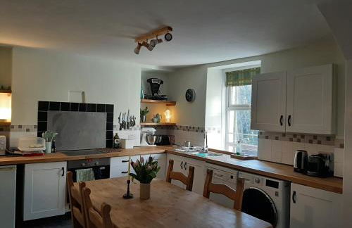 Selah Teifi spectacular river view with games room - Photo 8