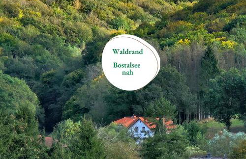 Ferienwohnung Schwarzhof- Hahnekräh am Bostalsee, helle 75 qm & hundefreundlich - Foto 1