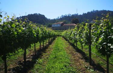 Quinta de Cypriano - Wine & Nature - Foto 100