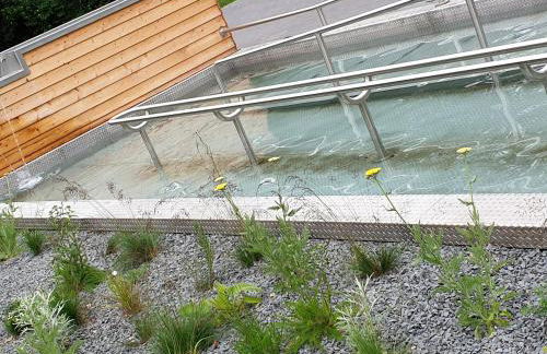 Ferienwohnung Eulenturm - Foto 31