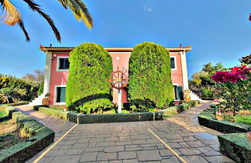 Acroploro - Photo 33