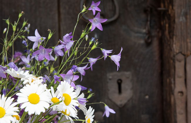 Troadkasten - Foto 17