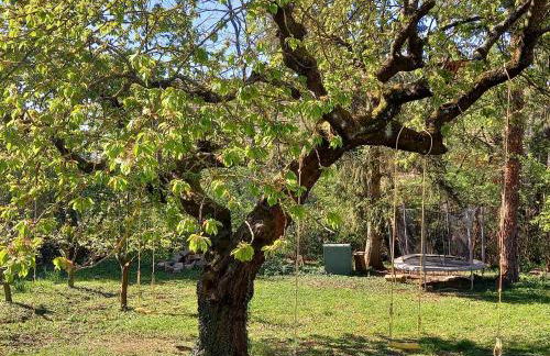 La maison de Paul - Foto 16