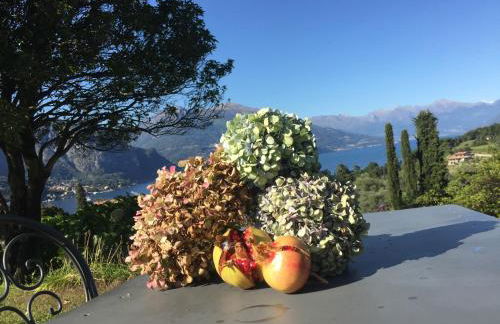 Il Poggio Di Bellagio - Foto 29