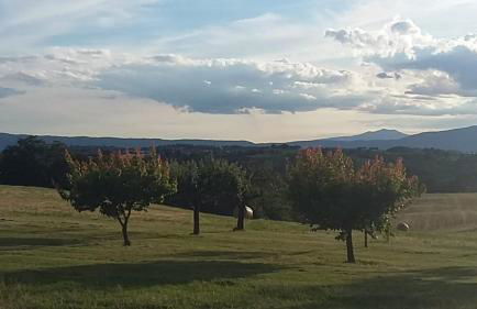 Agriturismo Valiana - Foto 40