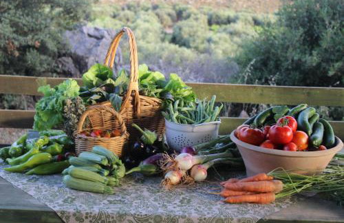 Orgon Farm Village Houses - Foto 24