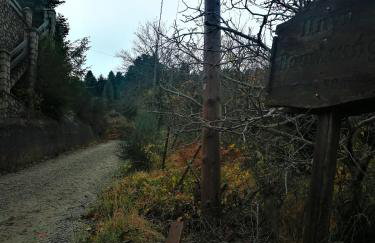 Dandy Villas Agoriani - Chalet Ivoni - Fireplace - Foto 48