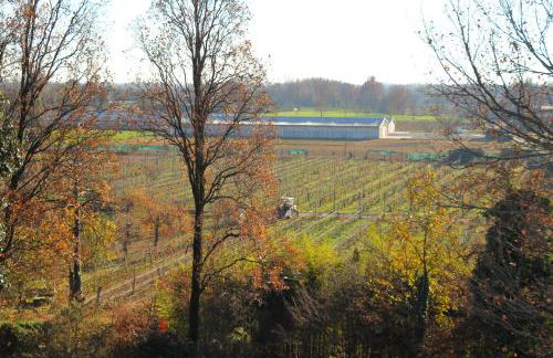 Le Magnolie Agriturismo - Foto 57