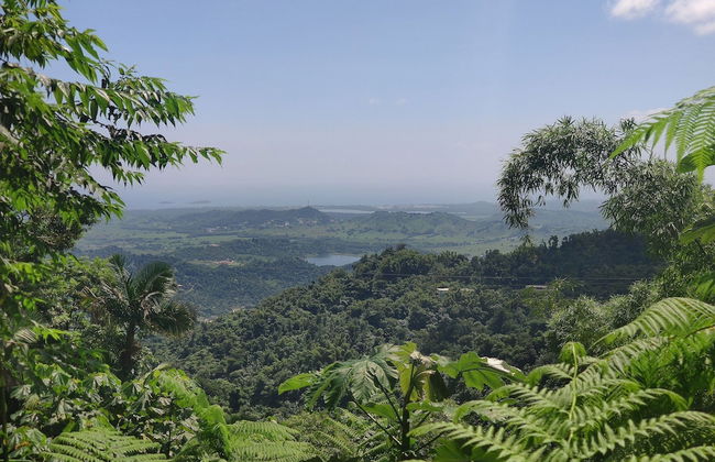 Beachfront Studios - Photo 39