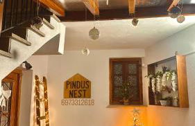 Pindus Nest - Foto 5