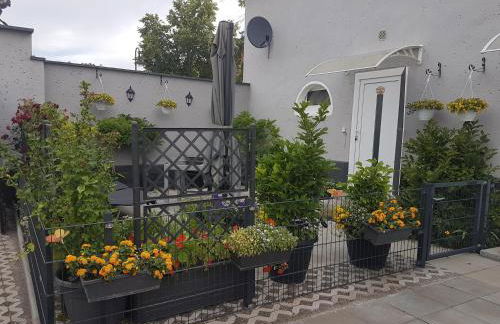 Pferdepension Jäger - Foto 19