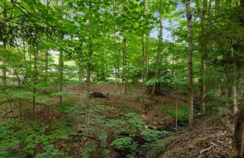 Log Cabin - Natures Oasis - Fire Pit & Gazebo - Foto 53