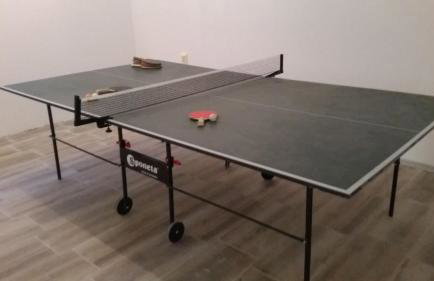 Stone Villa Bosnic - Foto 61