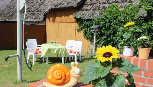 Ferienwohnungen Segebrecht Zirchow - Foto 3, Garden