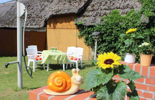 Ferienwohnungen Segebrecht Zirchow - Foto 3