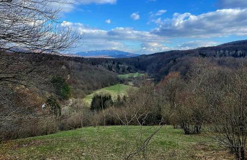 Villa Andjelija - Foto 30