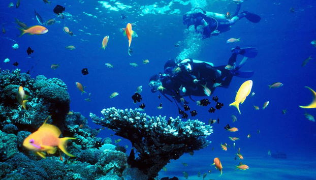 Exploring Kallithea Reef's rich marine life