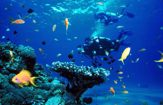 Plongée à Kallithea - Photo 1