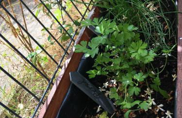 Agréable T2 à Merignac au pied du tram - Foto 12