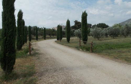 Agriturismo Cento Ducati - Foto 19
