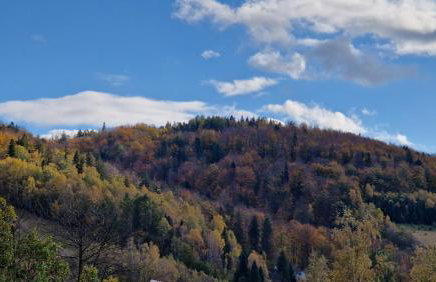 Barbara 76 - Photo 7