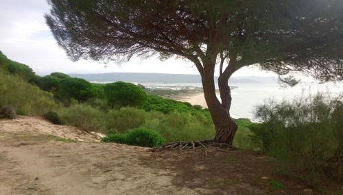 El Ronqueo Apartment - Foto 3